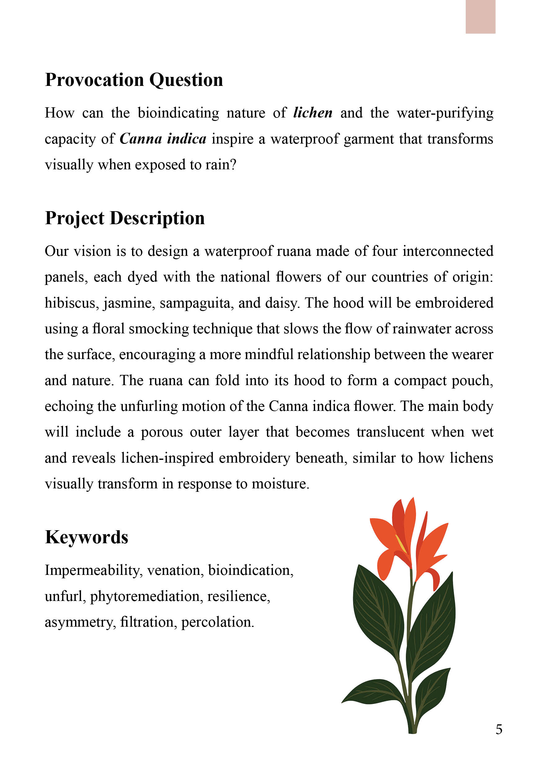 Provocation question, project description, and keywords.